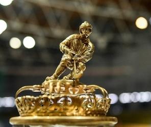 Чемпионат России завершён